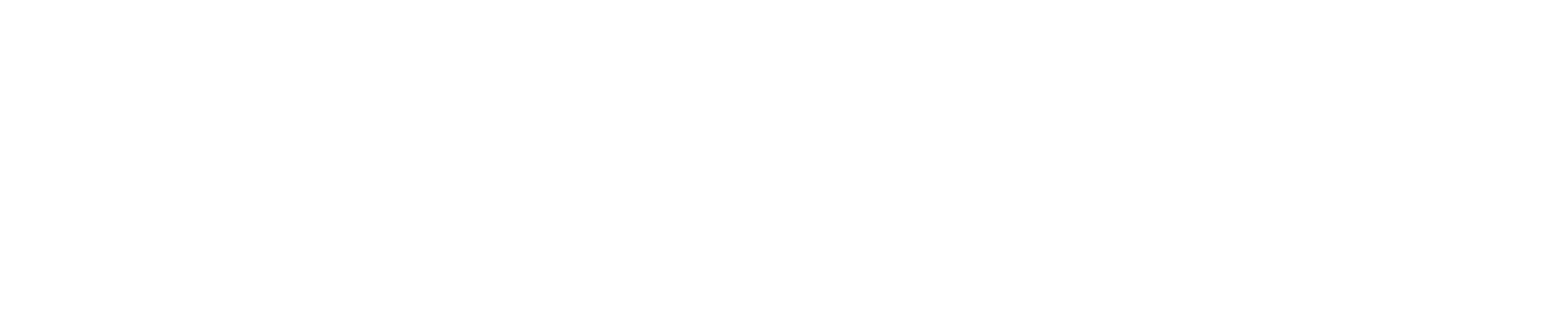 STI Maritime Training Academy